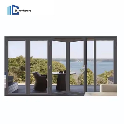Porte double en verre d'aluminium insonorisé personnalisé pour la position de la pièce